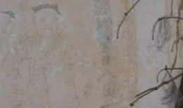 番号漫画,揭秘校园青春的激情与梦想